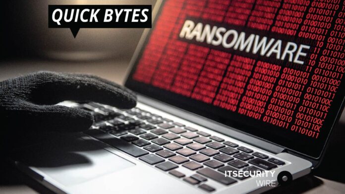 12 new flaws used for ransomware attacks